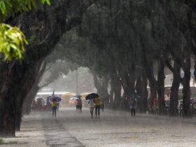 Inverno amazônico, chuva na Praça da República em Belém, capital do Pará