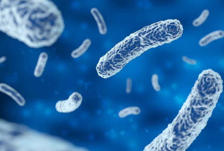 infecção bacteriana, ampliação do microscópio Por claudioventrella