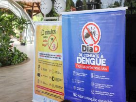Cartazes do Dia D de combate a Dengue | Foto: Rodrigo Pinheiro / Agência Pará
