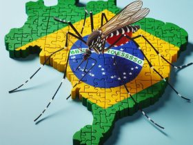 Mosquito da dengue e o mapa do Brasil Imagem criada por inteligência artificial