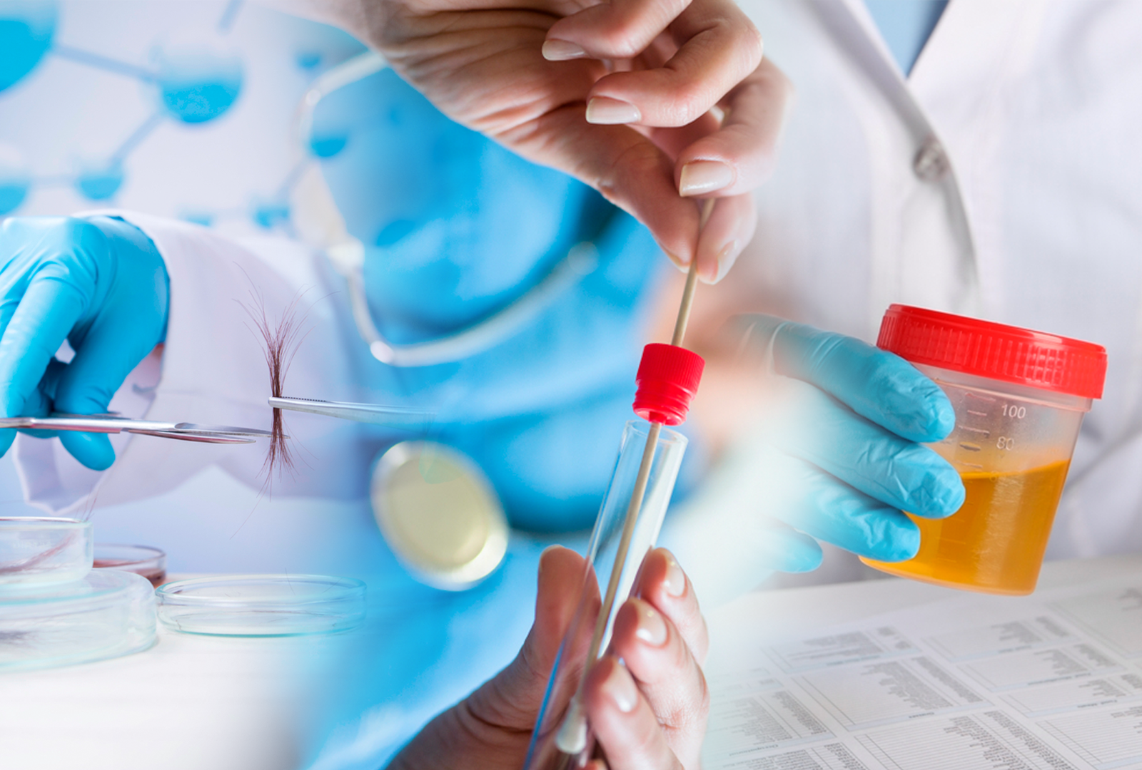 Tipos de exames toxicológicos