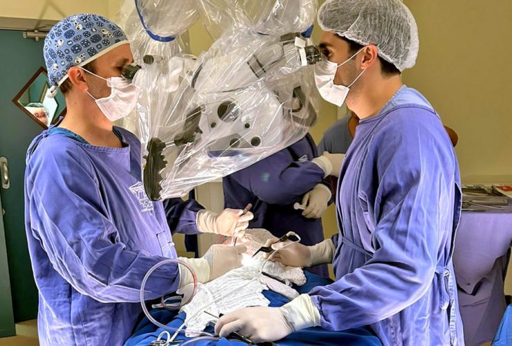 Microcirurgia pediátrica Foto: Divulgação Agência Pará