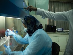 Foto de Kiana Hayeri para OMS