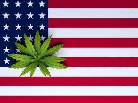 Folha da maconha em cima da bandeira dos Estados Unidos Imagem criada por inteligência artificial