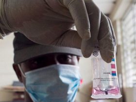 A maconha e a cocaína apreendidas são analisadas e inventariadas antes de serem transferidas para destruição. A maconha e a cocaína apreendidas são analisadas e inventariadas antes de serem transferidas para destruição | foto de Victoria Hazou para a ONU