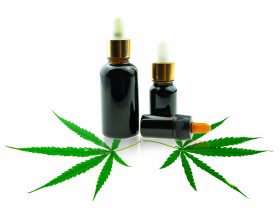 Garrafa com óleo de CBD e folha de cannabis Por thichaa