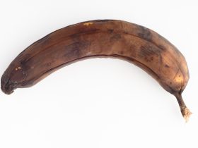 Banana podre isolada no fundo branco. Por wolfhound9111