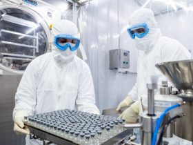 Cientistas do Instituto Butantan Fotos: José Felipe Batista e Renato Rodrigues/Comunicação Butantan