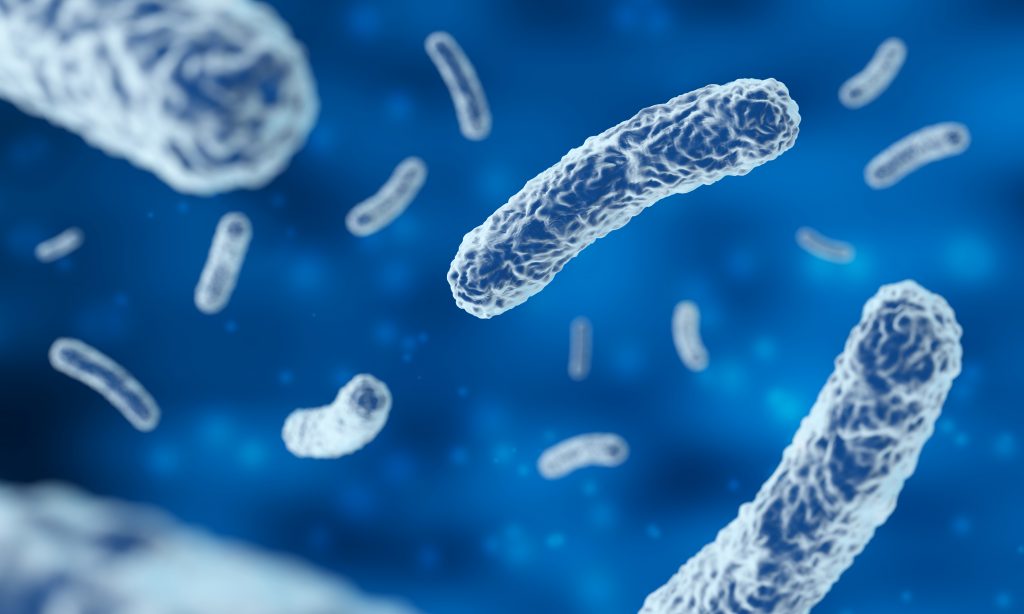 infecção bacteriana, ampliação do microscópio Por claudioventrella