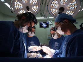 Momento da realização da cirurgia Foto: Pedro Guerreiro Ag. Pará