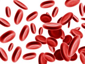 Glóbulos vermelhos renderizados em 3D em fundo branco Por ozaiachin