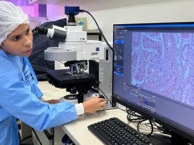 Profissionais de saúde são treinados contra o Oropouche no Pará pelo Ministério da Saúde Fotos: divulgação do Ministério da Saúde