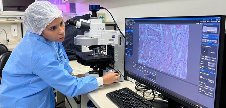 Profissionais de saúde são treinados contra o Oropouche no Pará pelo Ministério da Saúde Fotos: divulgação do Ministério da Saúde