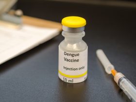 Frasco de vacina contra o vírus da dengue com seringa Por manjurulhaque