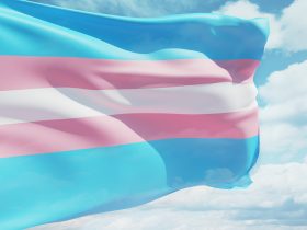 Bandeira transgênero acenando ao vento contra um céu nublado. Por TaniaJoy