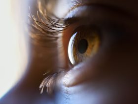 Close-up da linda garotinha de olhos castanhos Por javi_indy