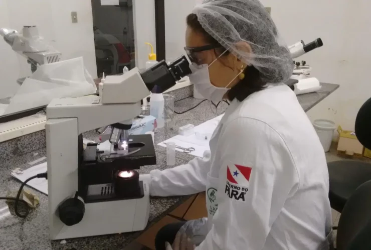 Profissional da saúde analisando amostra Foto: divulgação ASCOM SESPA