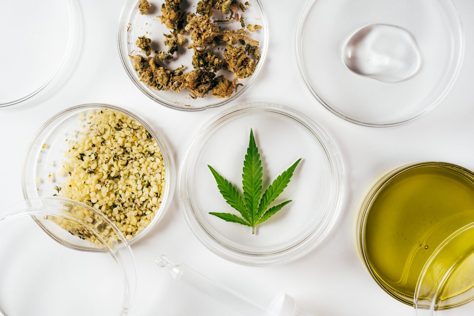 Óleo de cannabis, folhas de cânhamo, flores secas e sementes em laboratório Por Kattecat