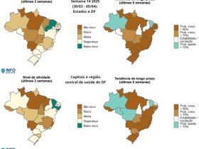 Arte do InfoGripe divulgado pela Fiocruz